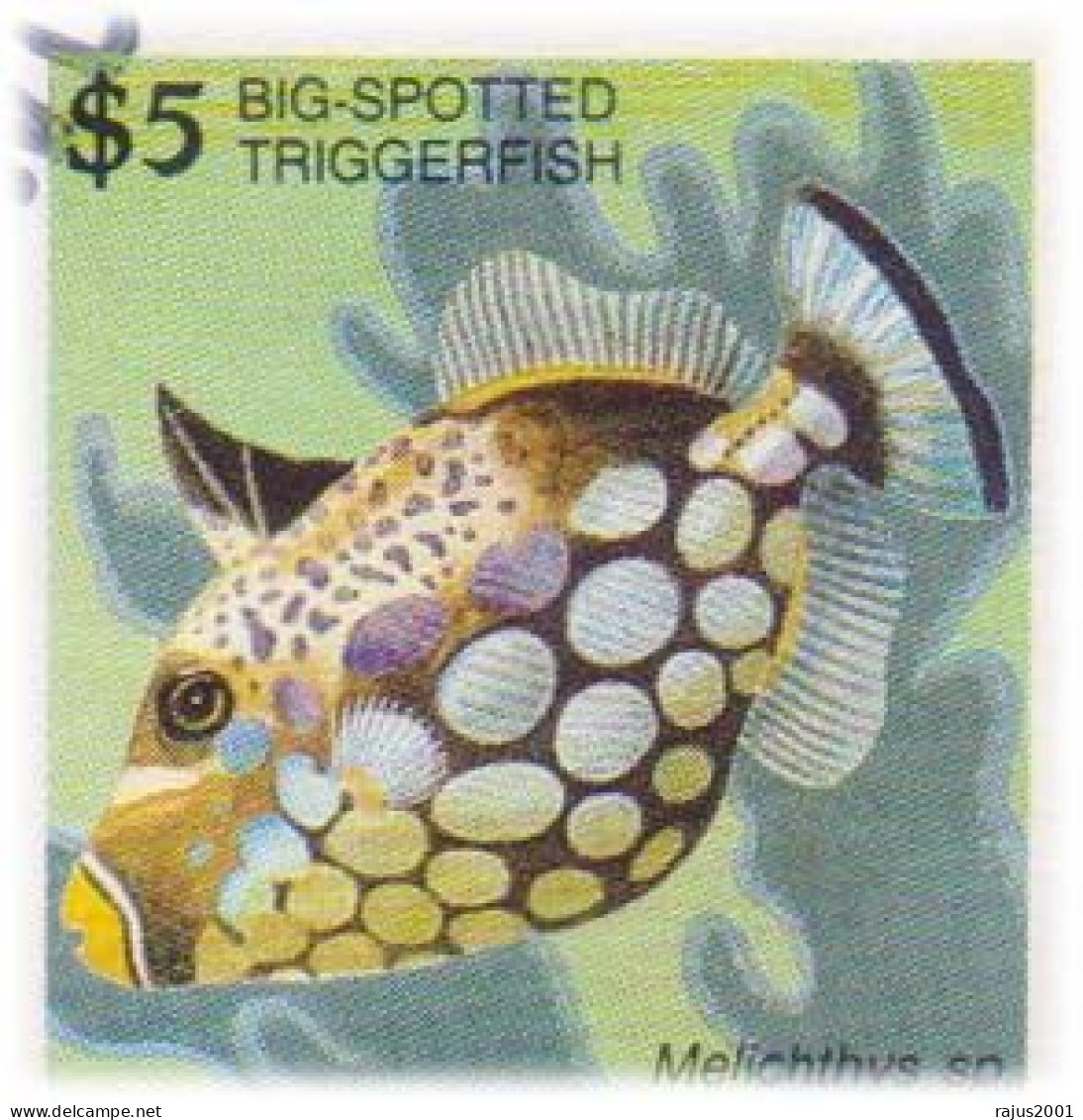 Coral Reef Marine Life Underwater, Surgeon Fish Ghost Pipe, Seahorse, Blue Jack High Value Stamps Marshall Set Of 3 FDC - Fische