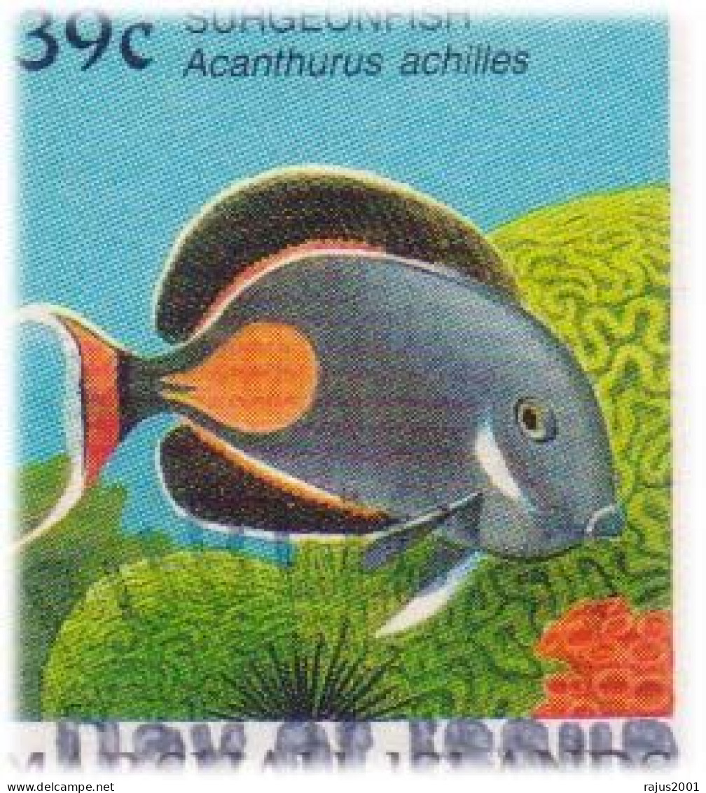 Coral Reef Marine Life Underwater, Surgeon Fish Ghost Pipe, Seahorse, Blue Jack High Value Stamps Marshall Set Of 3 FDC - Fishes