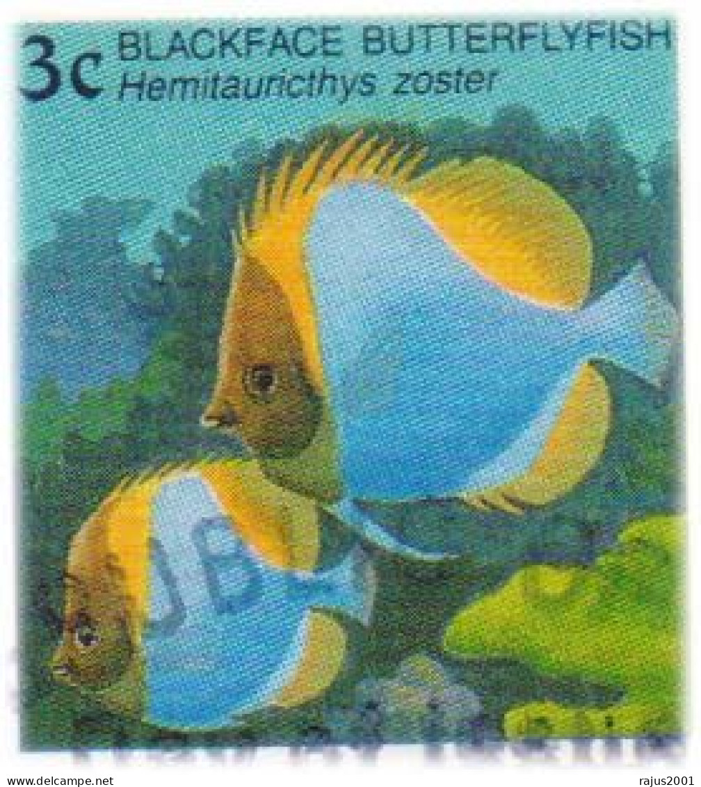 Coral Reef Marine Life Underwater, Surgeon Fish Ghost Pipe, Seahorse, Blue Jack High Value Stamps Marshall Set Of 3 FDC - Fische