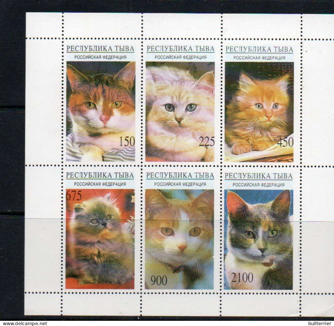 RUSSIA LOCALS - TUVA - DOMESTIC CATS SHEETLET OF 6   MINT NEVER HINGED - Otros & Sin Clasificación