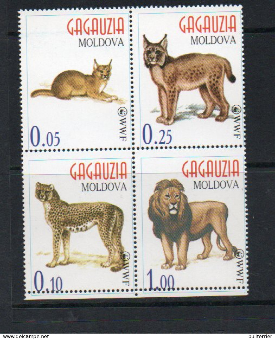 MOLDOVA  LOCALS  - GAGAUZIA - WWF  BIG CATS SET OF 4  IN BLOCK   MINT NEVER HINGED - Moldawien (Moldau)