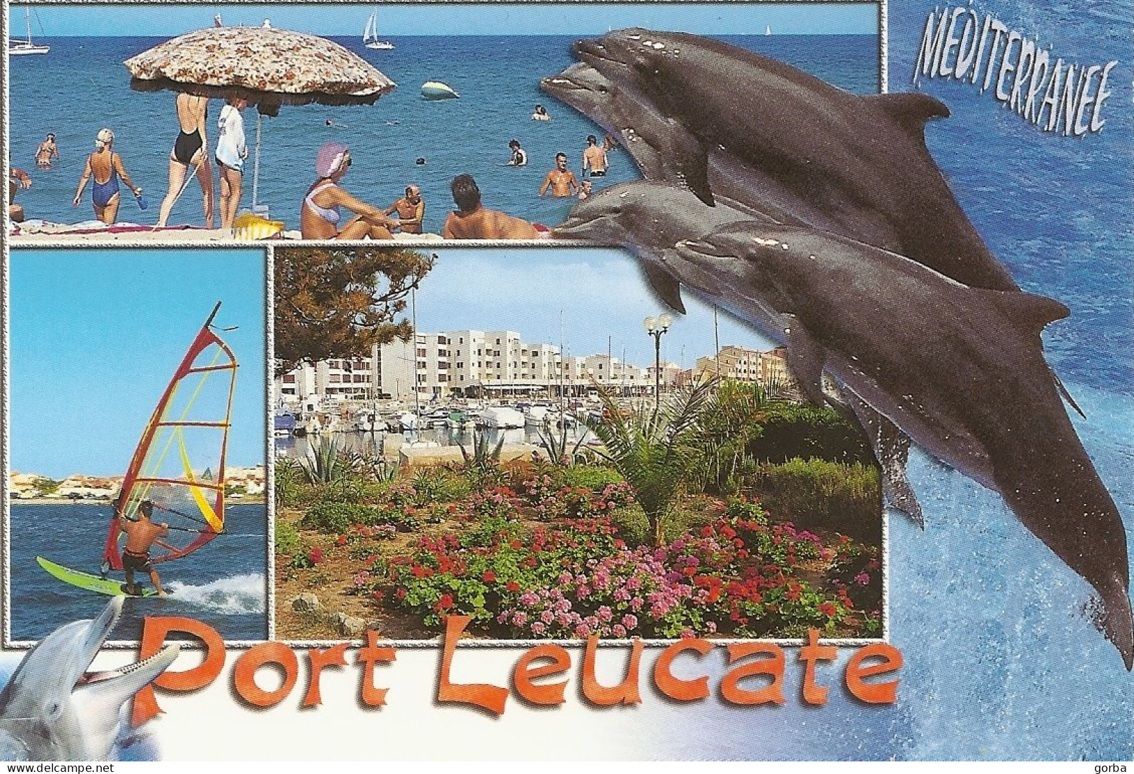 *CPM - 11 - LEUCATE - Port Leucate - Multivues - Dauphins - Leucate