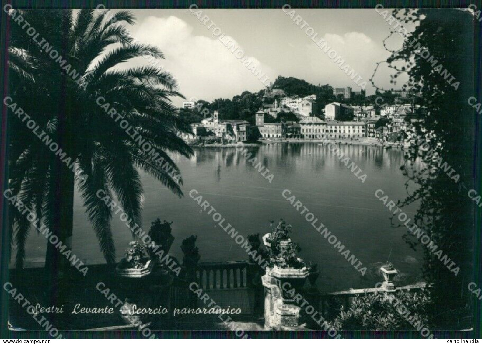 Genova Sestri Levante FG Foto Cartolina KB5462 - Genova