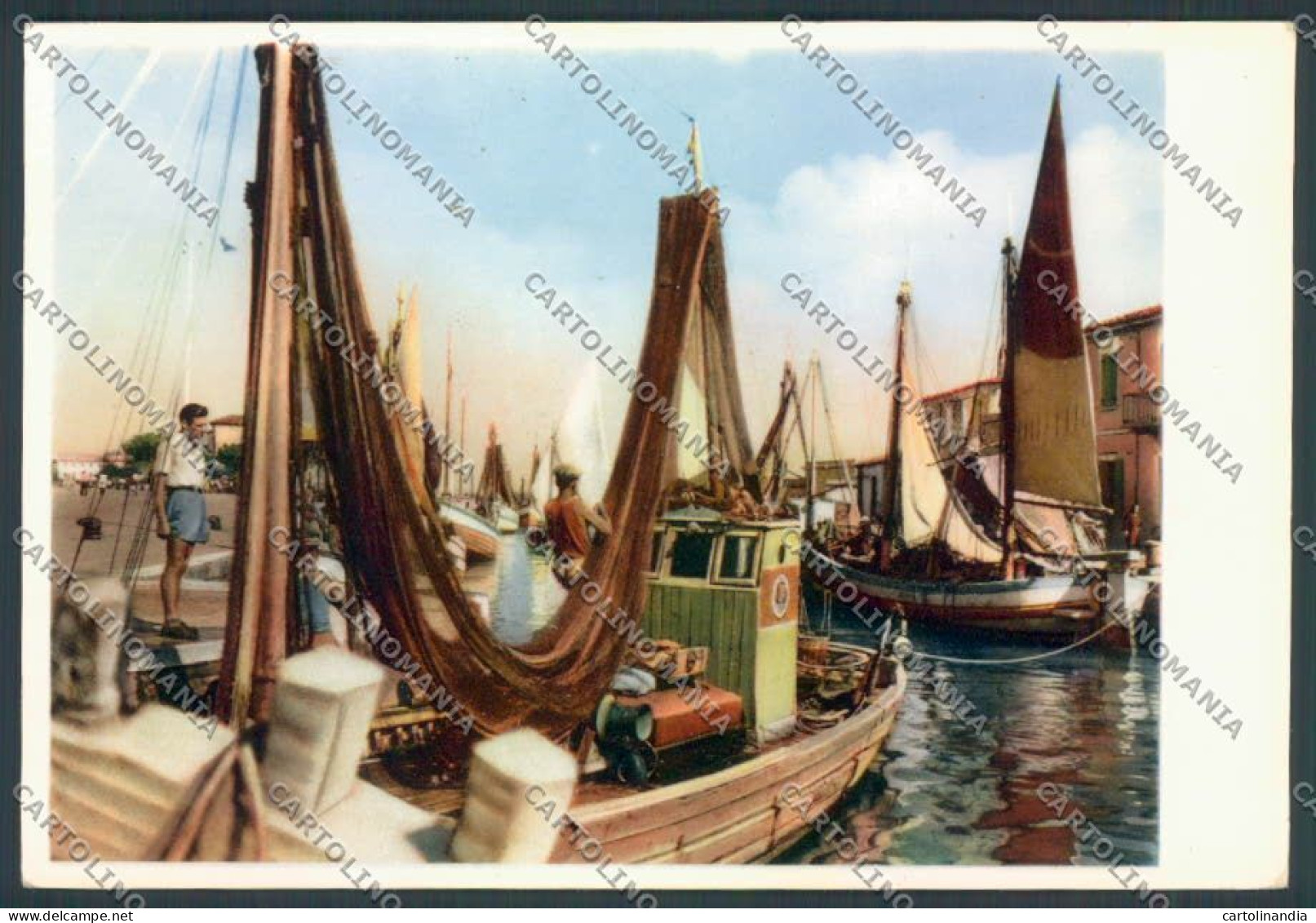 Venezia Chioggia Foto FG Cartolina ZF6536 - Venezia