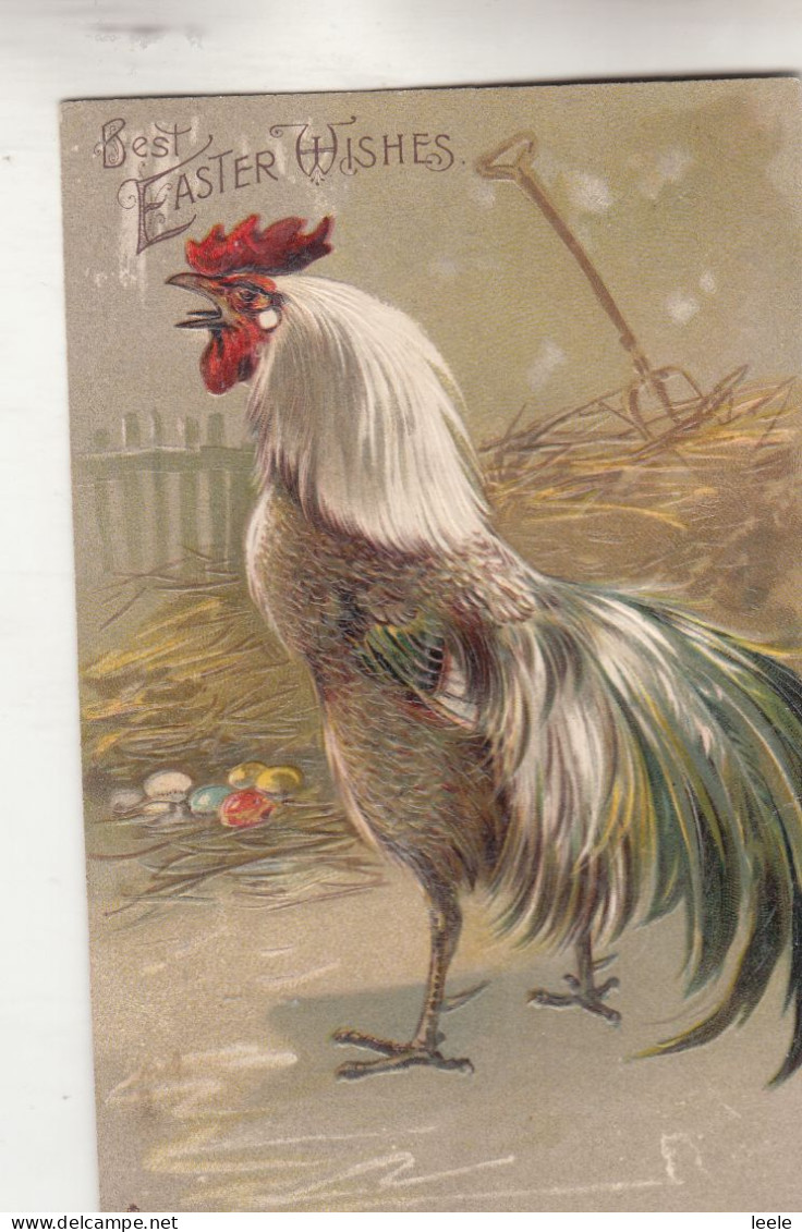 A50. Vintage Tucks Greetings Postcard. Cockerill. Chicken  - Vogels