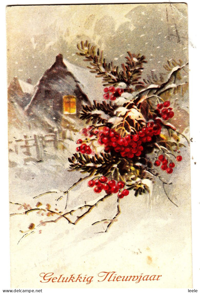 A07. Antique Dutch Greetings Postcard. Winter Scene With Berries. - Año Nuevo