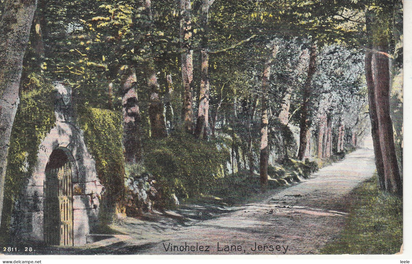 A85.Vintage Postcard. Vinchelez Lane, Jersey. Channel Islands - Sonstige & Ohne Zuordnung