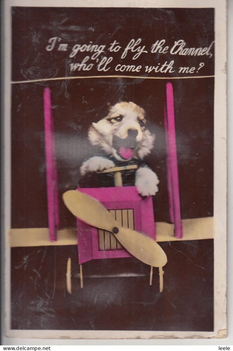 A25.Vintage Novelty Tinted Squeaker Postcard.Dog In Toy Airplane.Fly The Channel - Mechanical