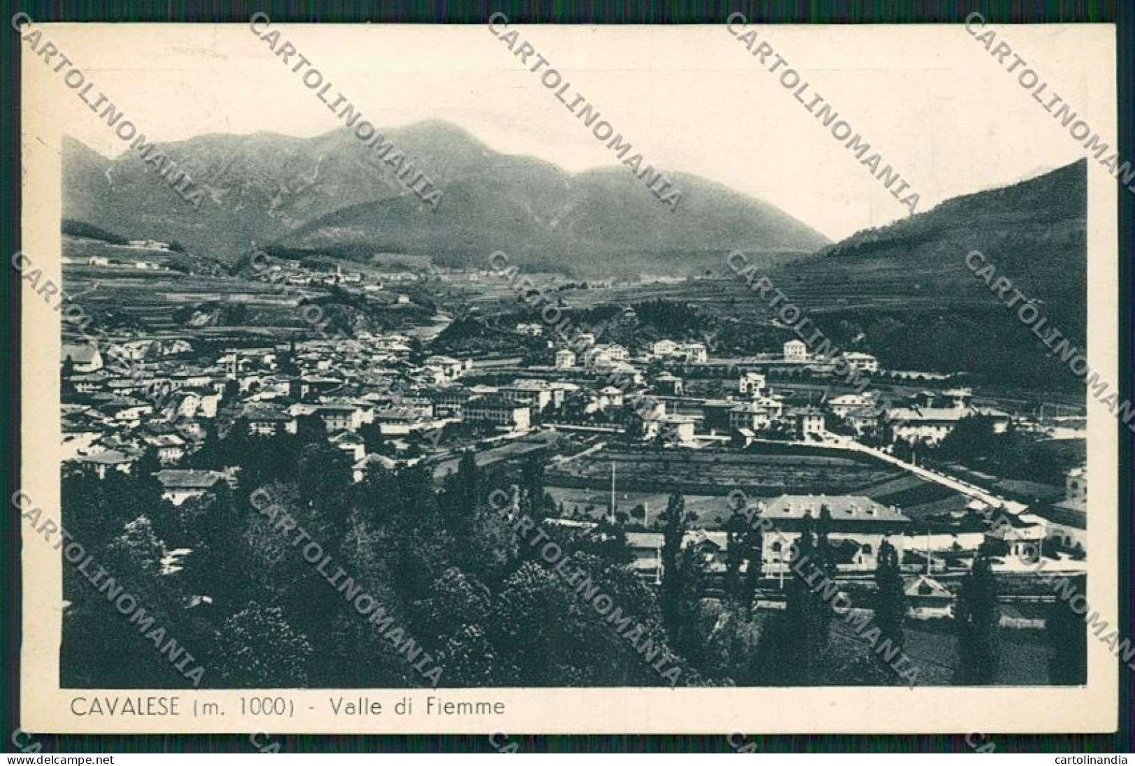 Trento Cavalese Cartolina ZC2576 - Trento