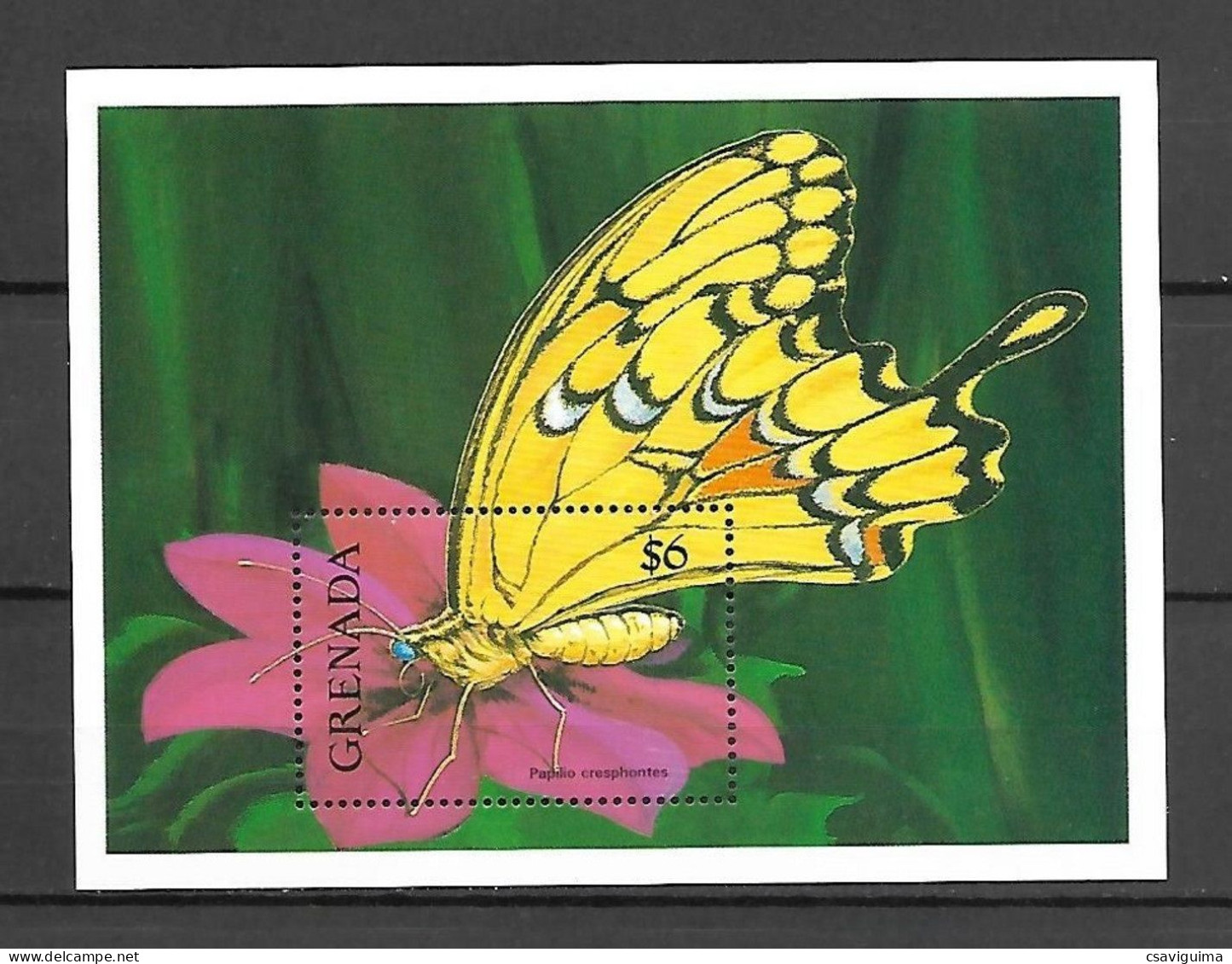 Grenada - 1991 - Insects: Butterflies - Yv Bf 282 - Farfalle