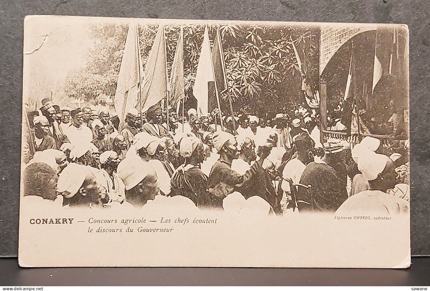 CONAKRY , CONCOURS AGRICOLE , LES CHEFS ECOUTENT LE DISCOURS DU GOUVERNEUR , 186 - French Guinea