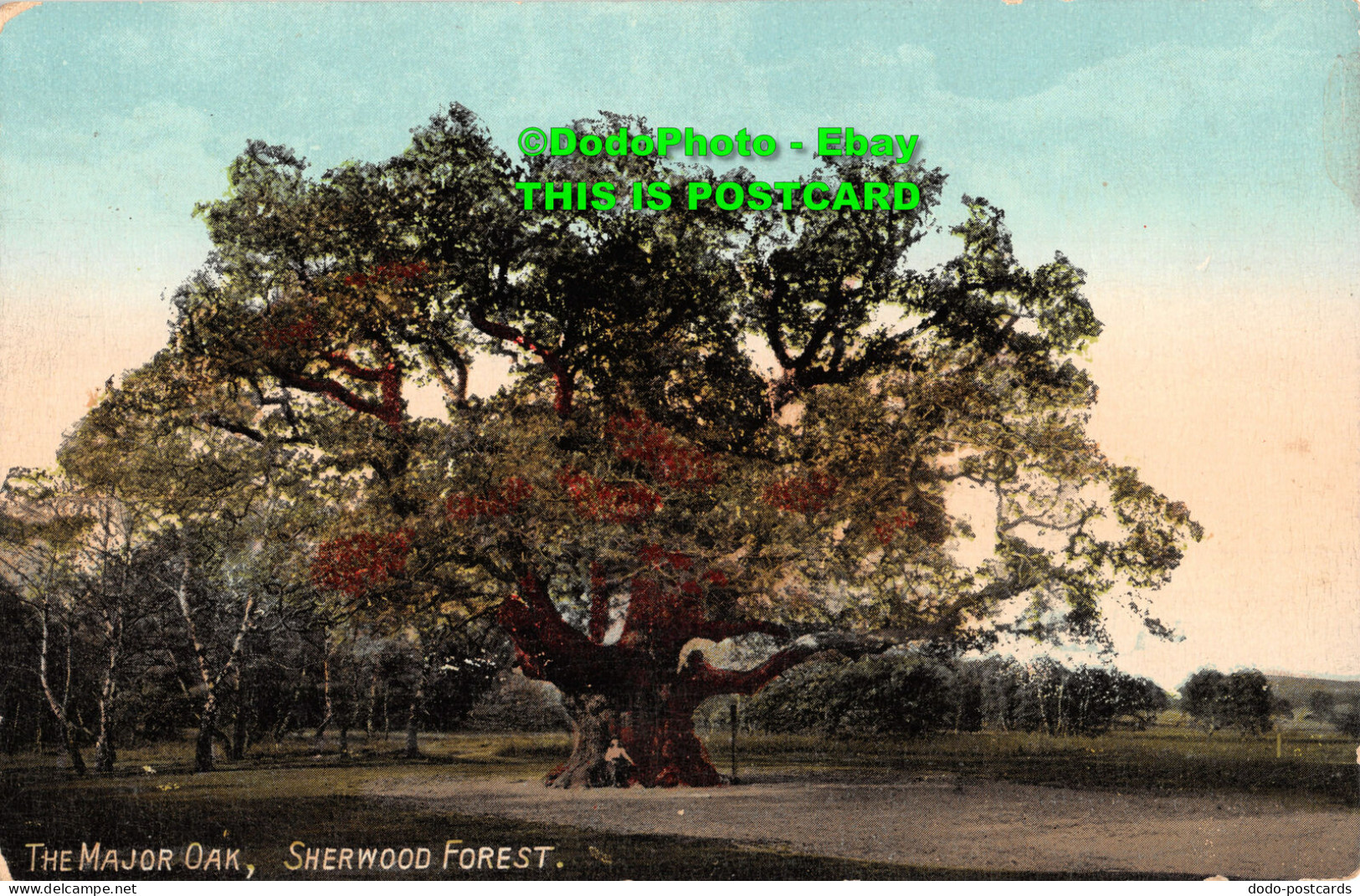 R430535 The Major Oak. Sherwood Forest. Valentines Series - Mundo
