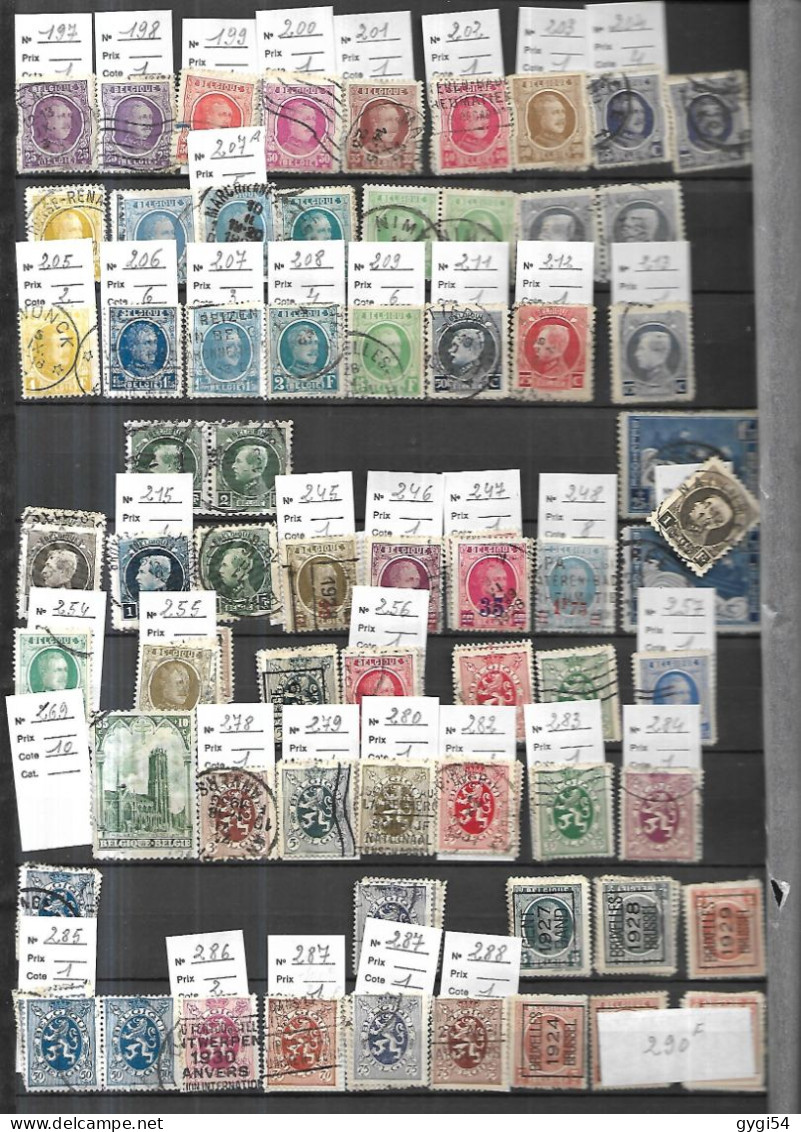 Belgique Et Anciennes Colonies  Cot 2658 E - Collections