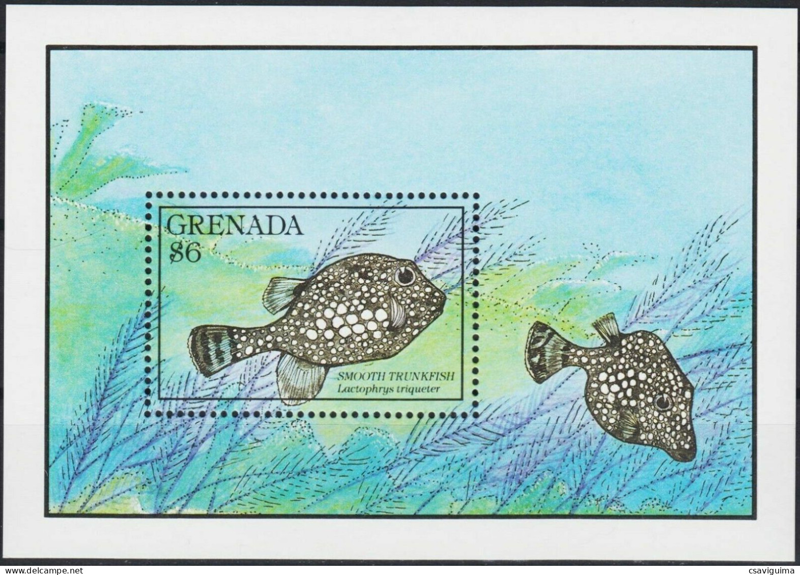 Grenada - 1990 - Fishes - Yv Bf 240 - Fische