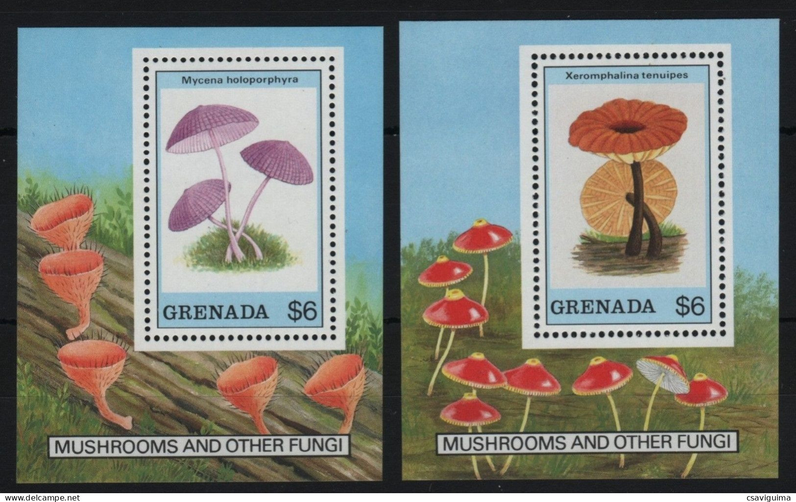 Grenada - 1989 - Mushrooms And Other Fungi - Yv Bf 218 + 220 - Pilze
