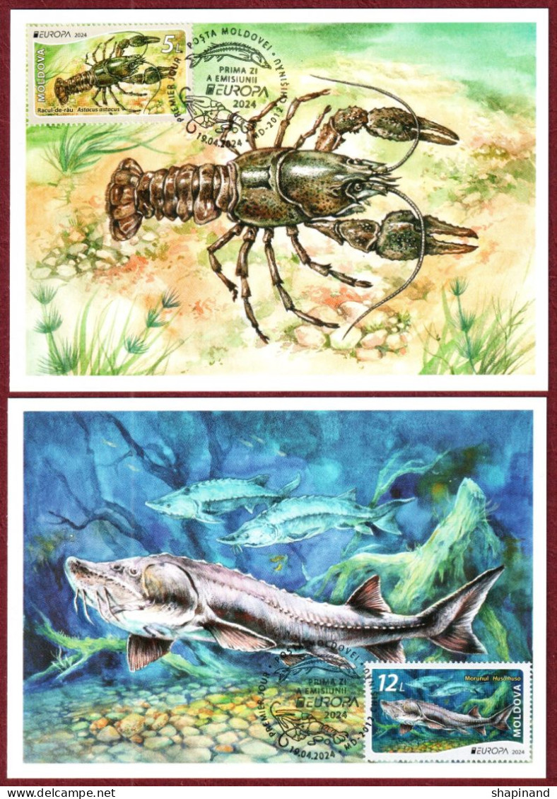 Moldova 2024 "Europa" Underwater Flora And Fauna. 2 Maxicards Quality:100% - Moldawien (Moldau)