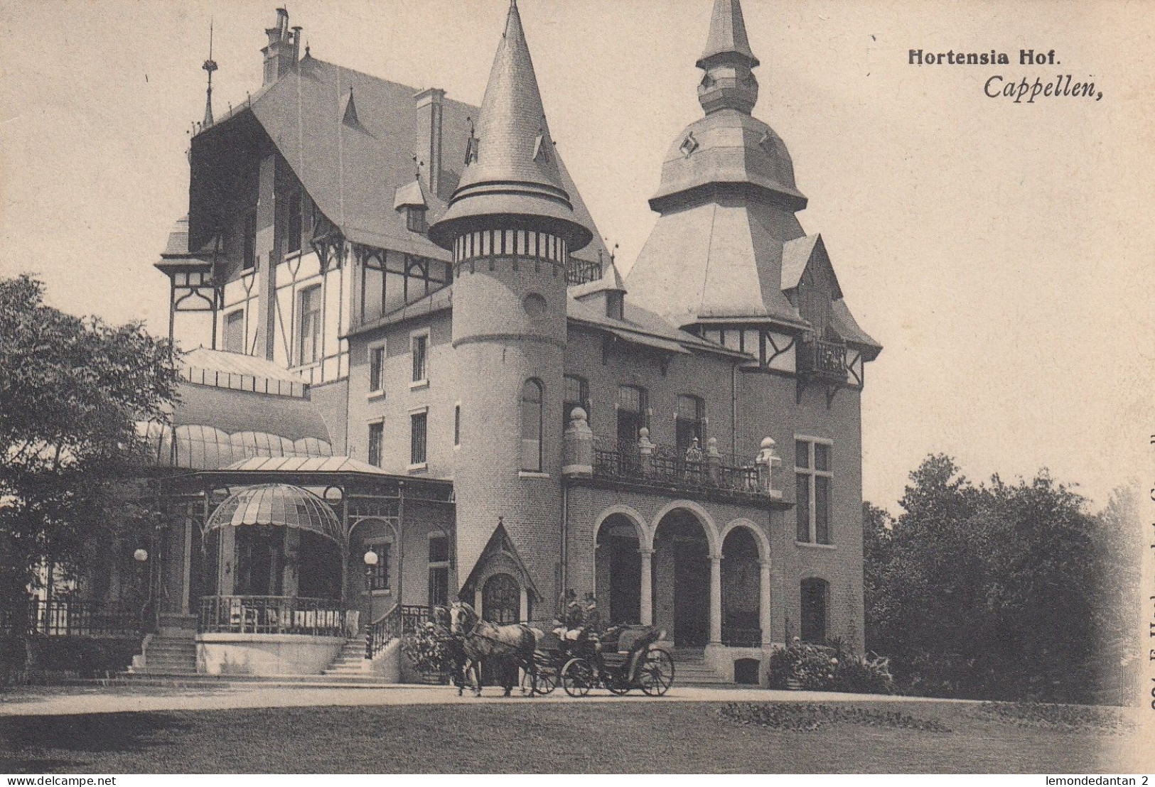 Kapellen - Cappellen - Hortensia Hof - Uitg. Hoelen N° 991 - Kapellen