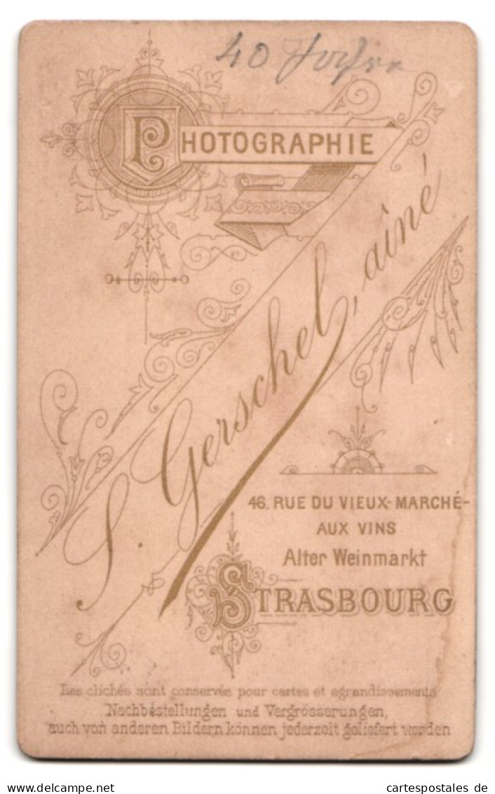 Photo Gerschel Aine, Strasbourg, Alter Weinmarkt 46, Brünette Dame Avec Zusammengebundenem Haar & Brosche  - Anonymous Persons