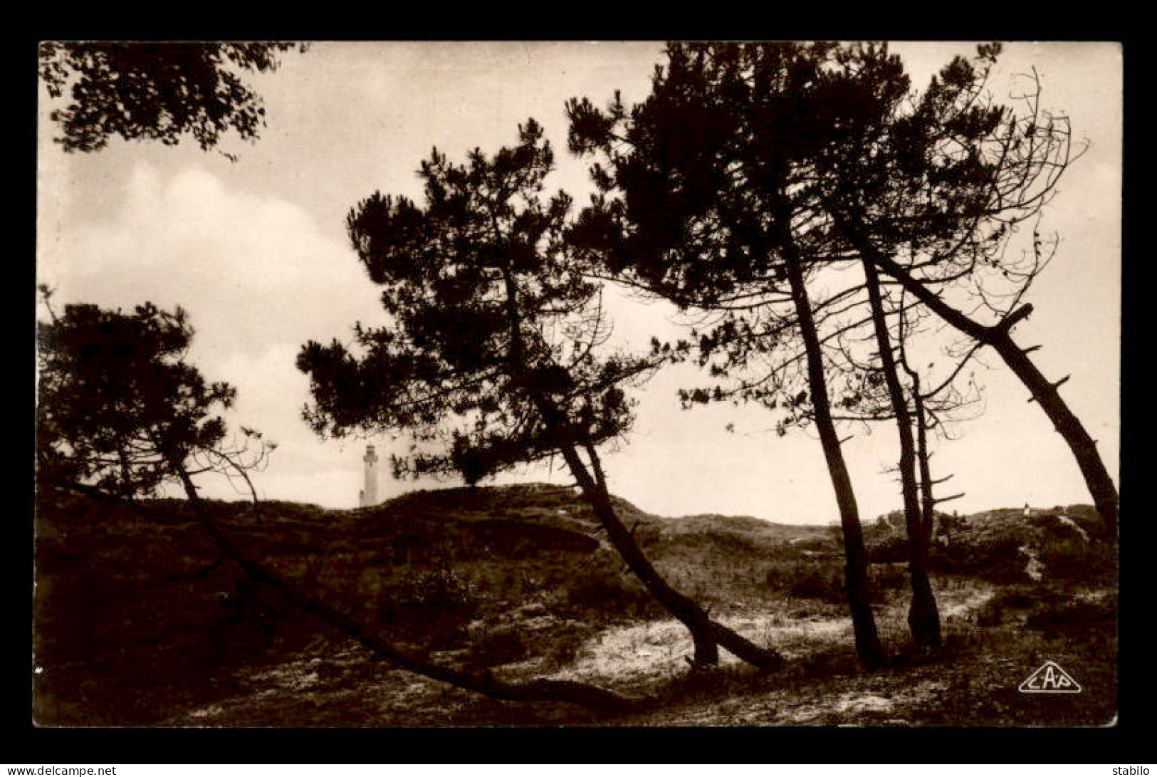 62 - LE TOUQUET - PARIS-PLAGE - LES DUNES - Andere & Zonder Classificatie