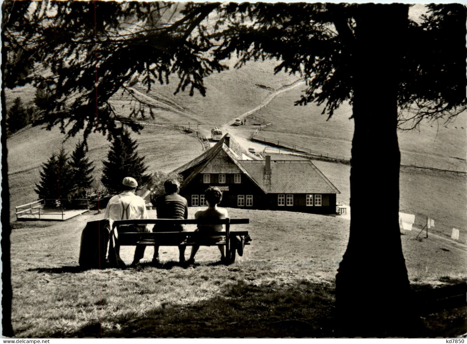 Münstertal - Almgaststätte Kälbelescheuer - Muenstertal