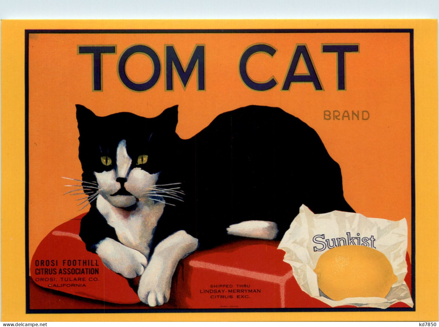 Sunkist - Tom Cat - Werbepostkarten