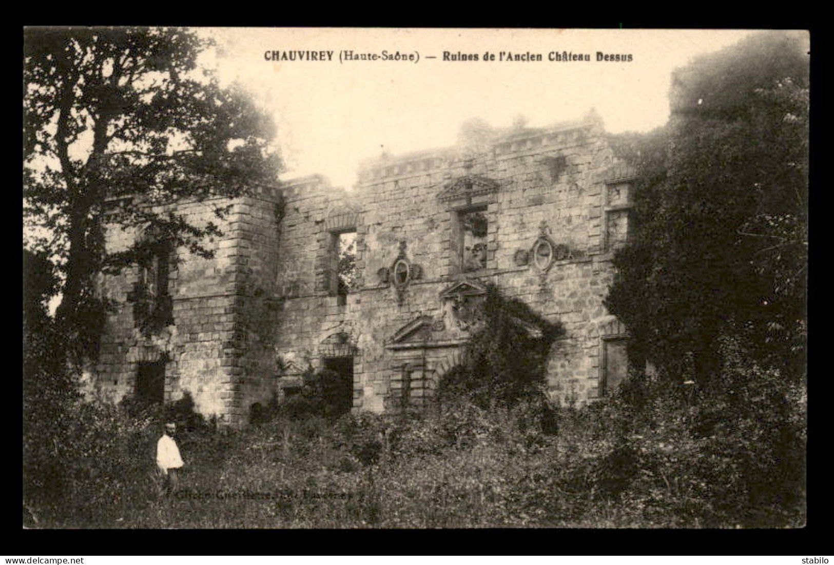 70 - CHAUVIREY-LE-CHATEL - RUINES DU CHATEAU - Autres & Non Classés