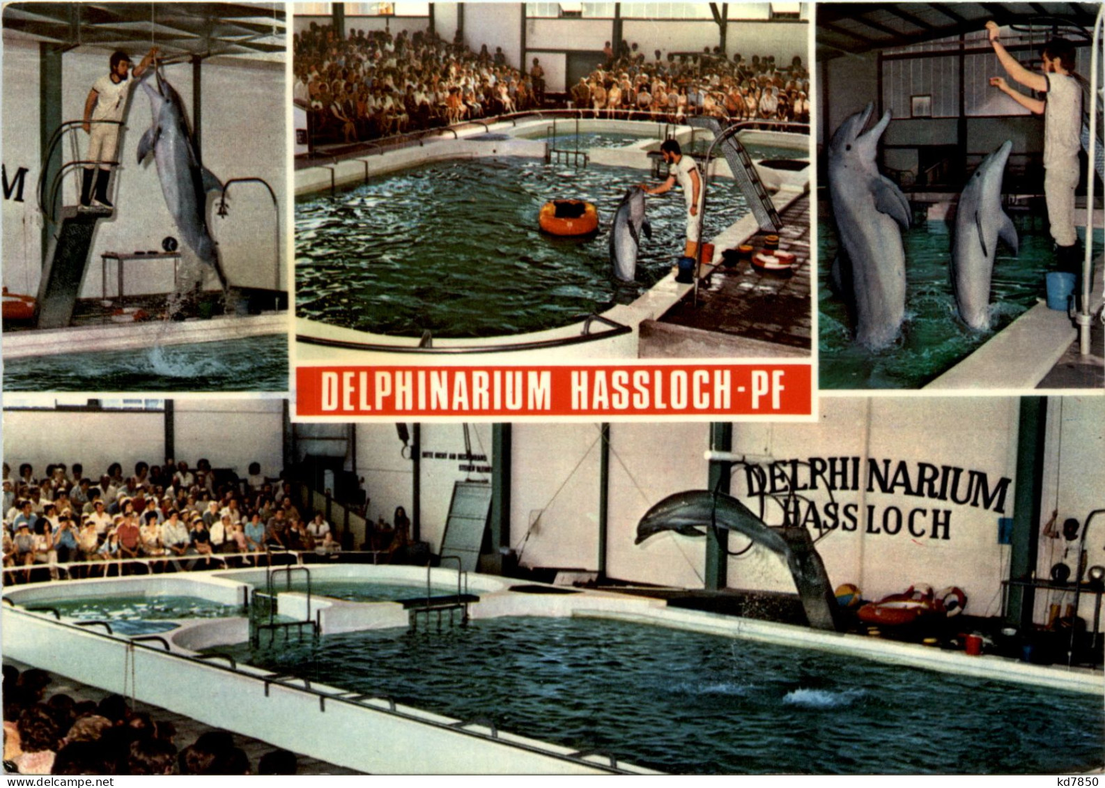Hassloch - Holiday Park Delphinarium - Bad Dürkheim