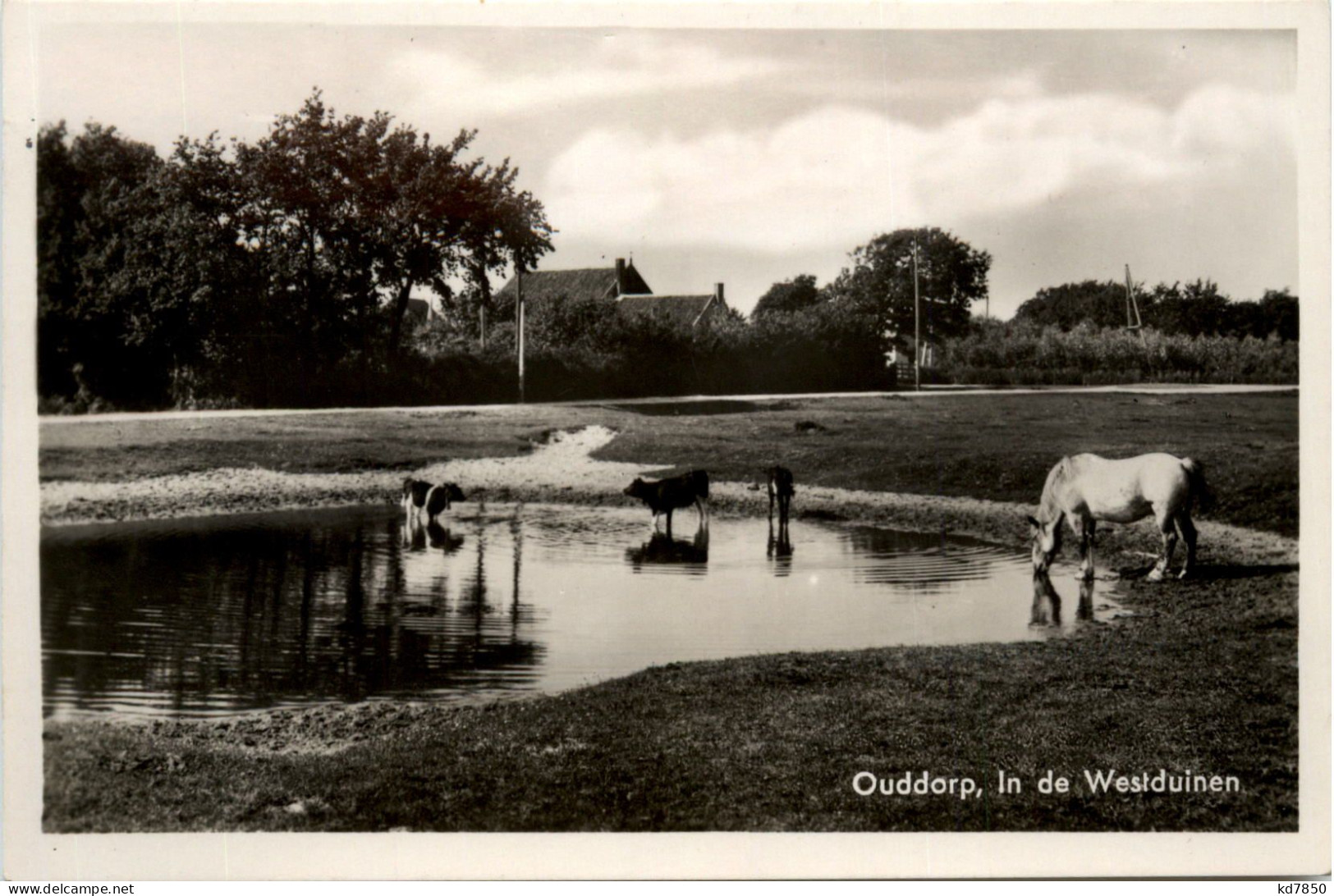 Ouddorp - In De Westduinen - Altri & Non Classificati