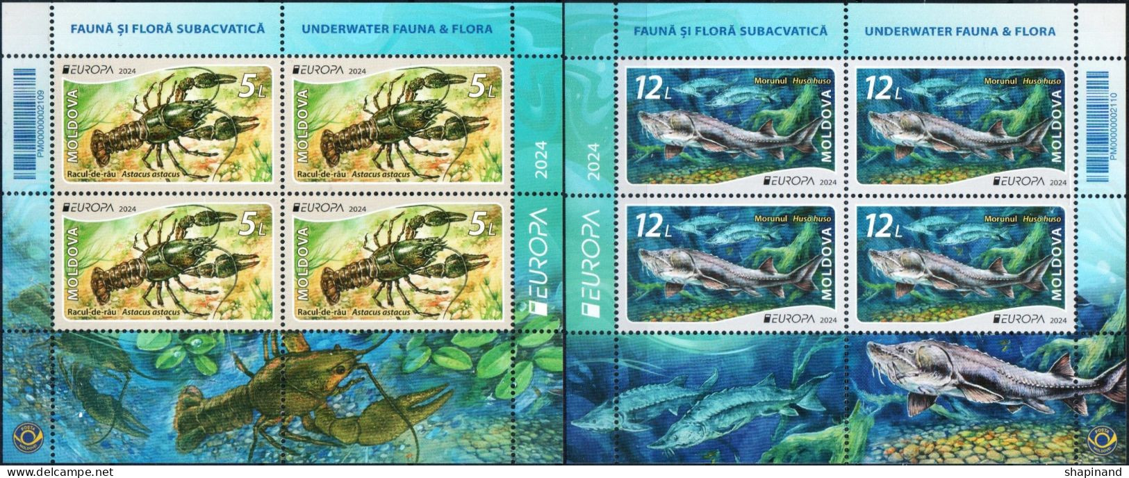 Moldova 2024 "Europa" Underwater Flora And Fauna.Booklet Quality:100% - Moldavia