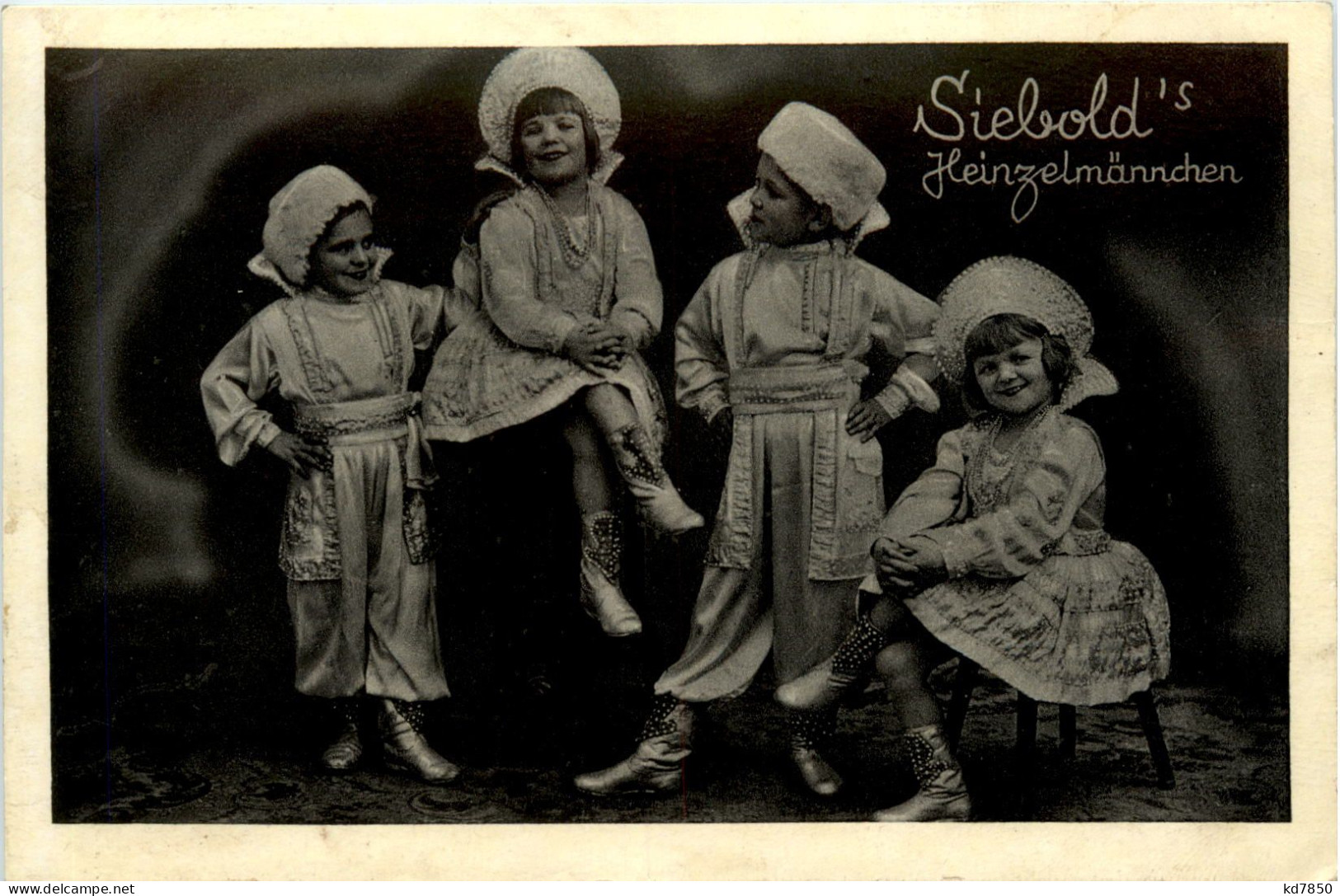 Siebolds Heinzelmännchen - Cirque