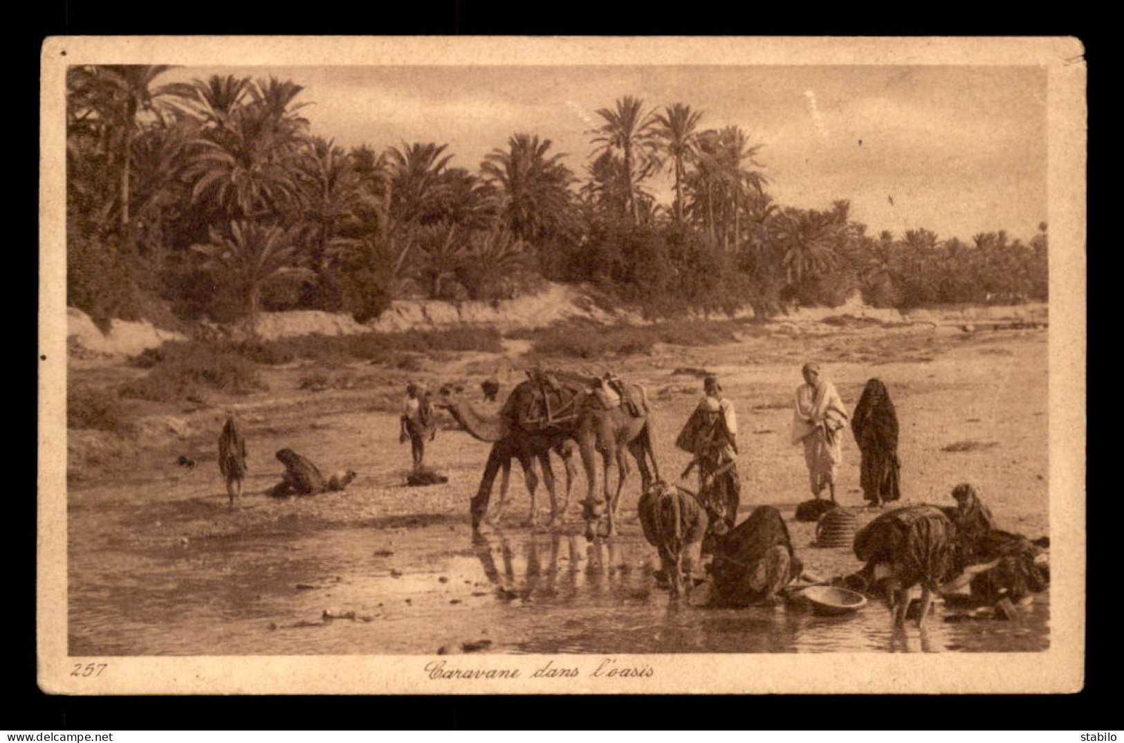 SCENES ET TYPES - SAHARA - LEHNERT ET LANDROCK - CARAVANE DANS L'OASIS - CHAMEAUX - Afrique