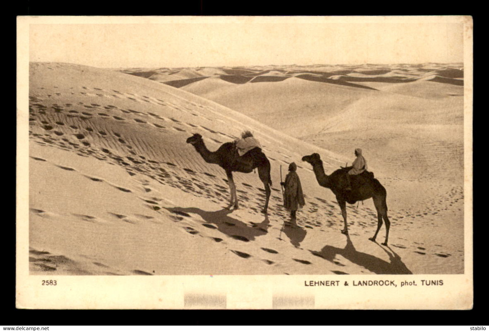 SCENES ET TYPES - SAHARA - LEHNERT ET LANDROCK - AU DESERT - CHAMEAUX - Africa