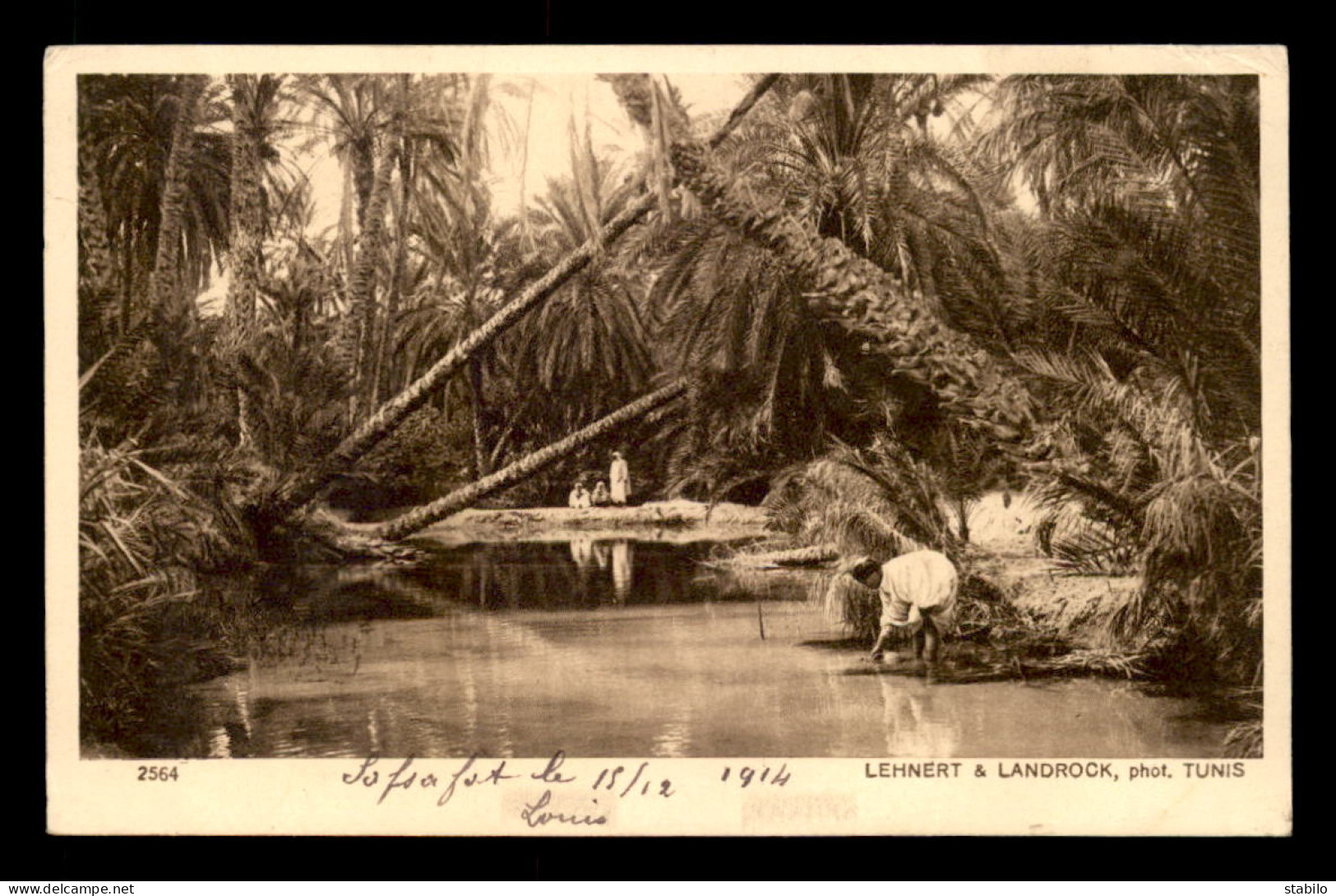 SCENES ET TYPES - SAHARA - LEHNERT ET LANDROCK - COIN D'OASIS - Africa