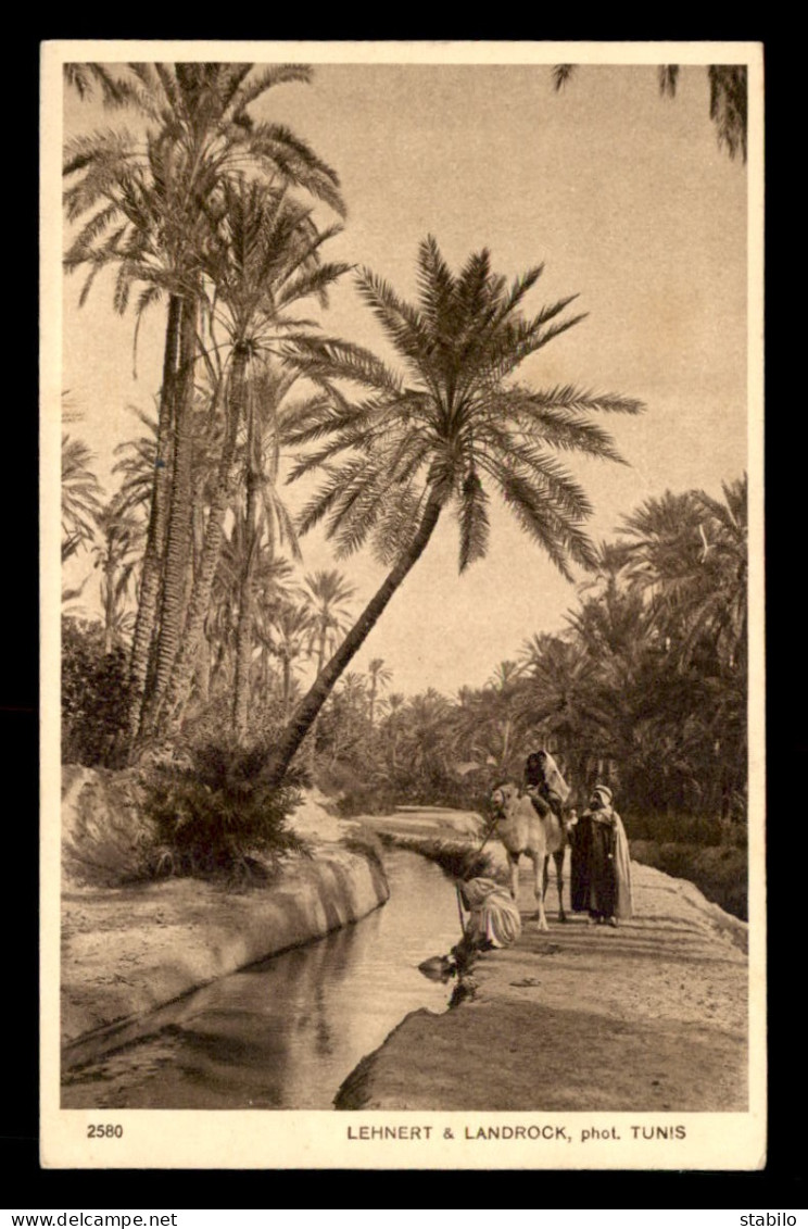 SCENES ET TYPES - SAHARA - LEHNERT ET LANDROCK -  DANS L'OASIS - CHAMEAU - Africa