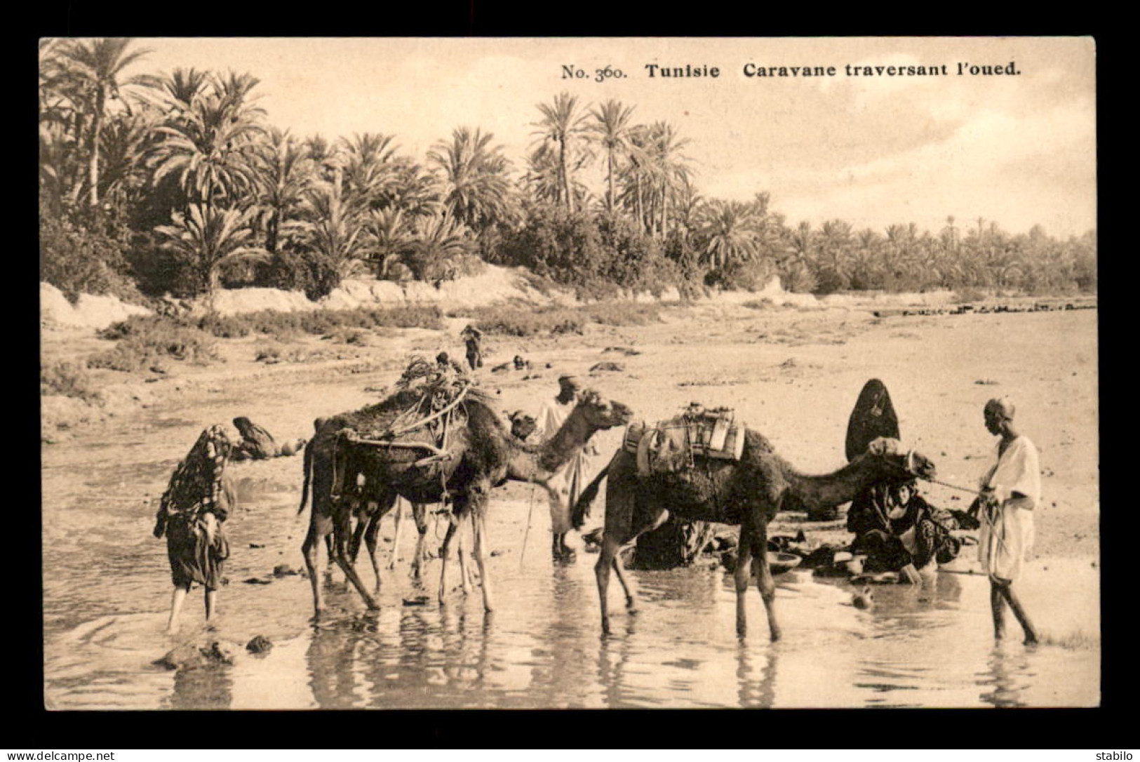 SCENES ET TYPES - SAHARA - LEHNERT ET LANDROCK - CARAVANE TRAVERSANT L'OUED - CHAMEAUX - Africa