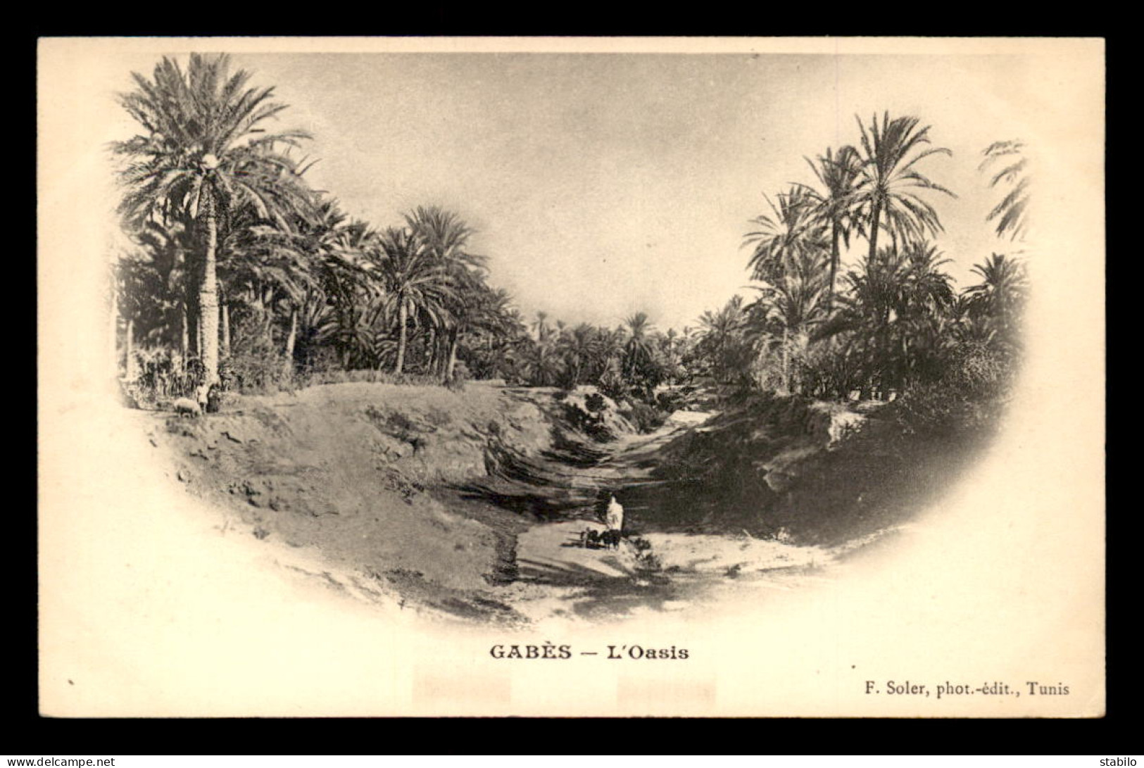 SCENES ET TYPES - SAHARA - TUNISIE - GABES - L'OASIS - EDITEUR SOLER - Tunisie