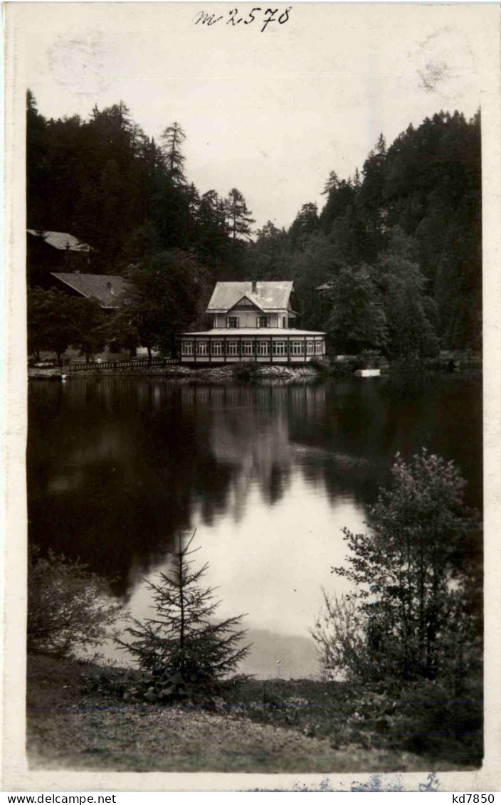 Grossvenediger U. Kalsbader Hütte Laserz Vom Kl. Laserzsee - Lienz