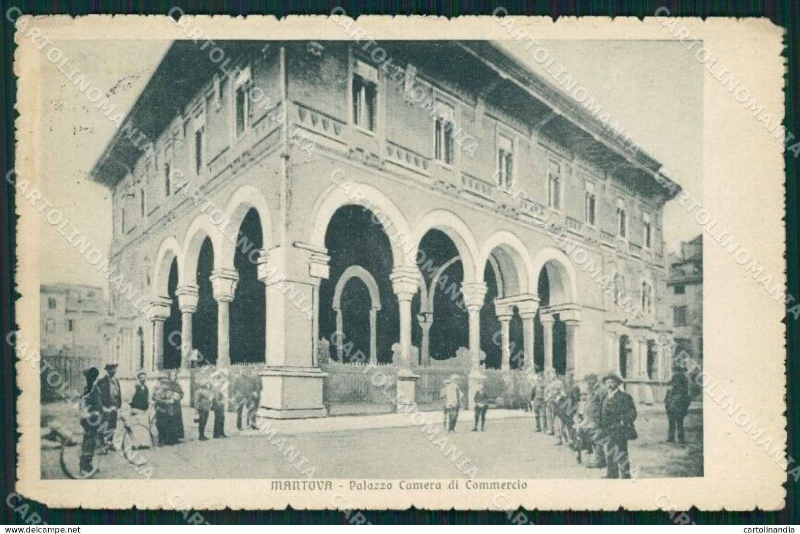 Mantova Città Palazzo Camera Commercio PIEGHINA Cartolina QT0537 - Mantova