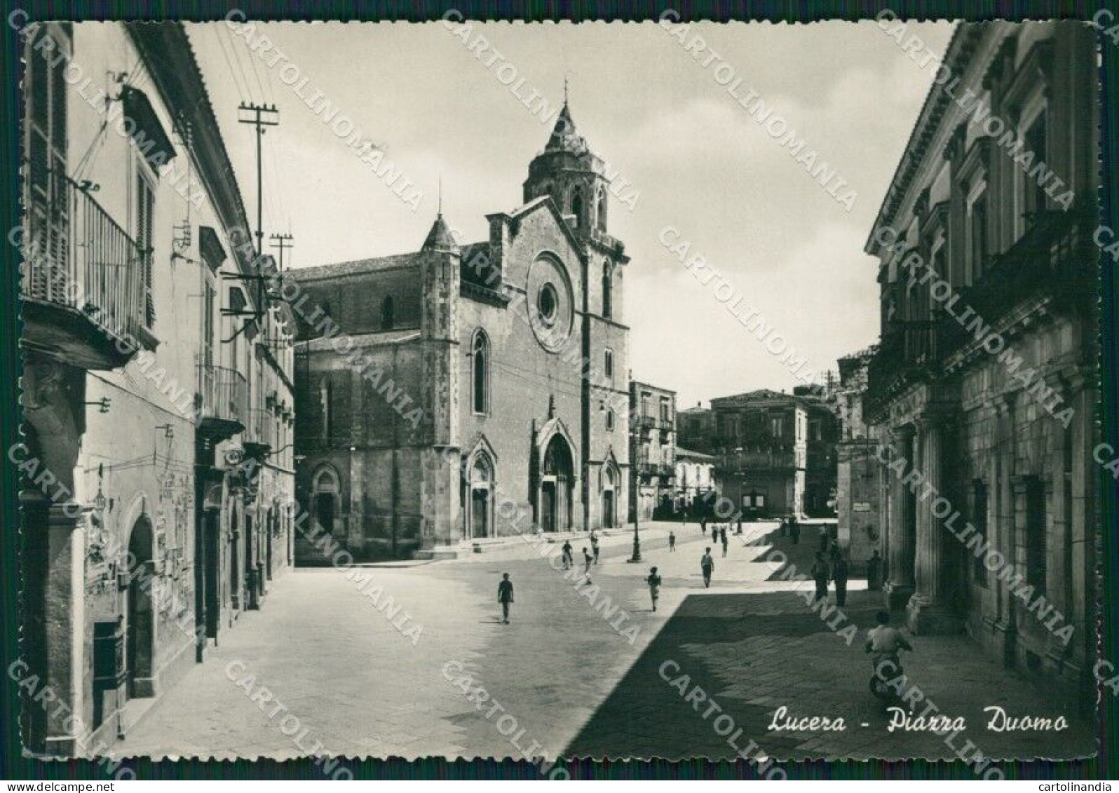 Foggia Lucera FORO Foto FG Cartolina ZKM8404 - Foggia