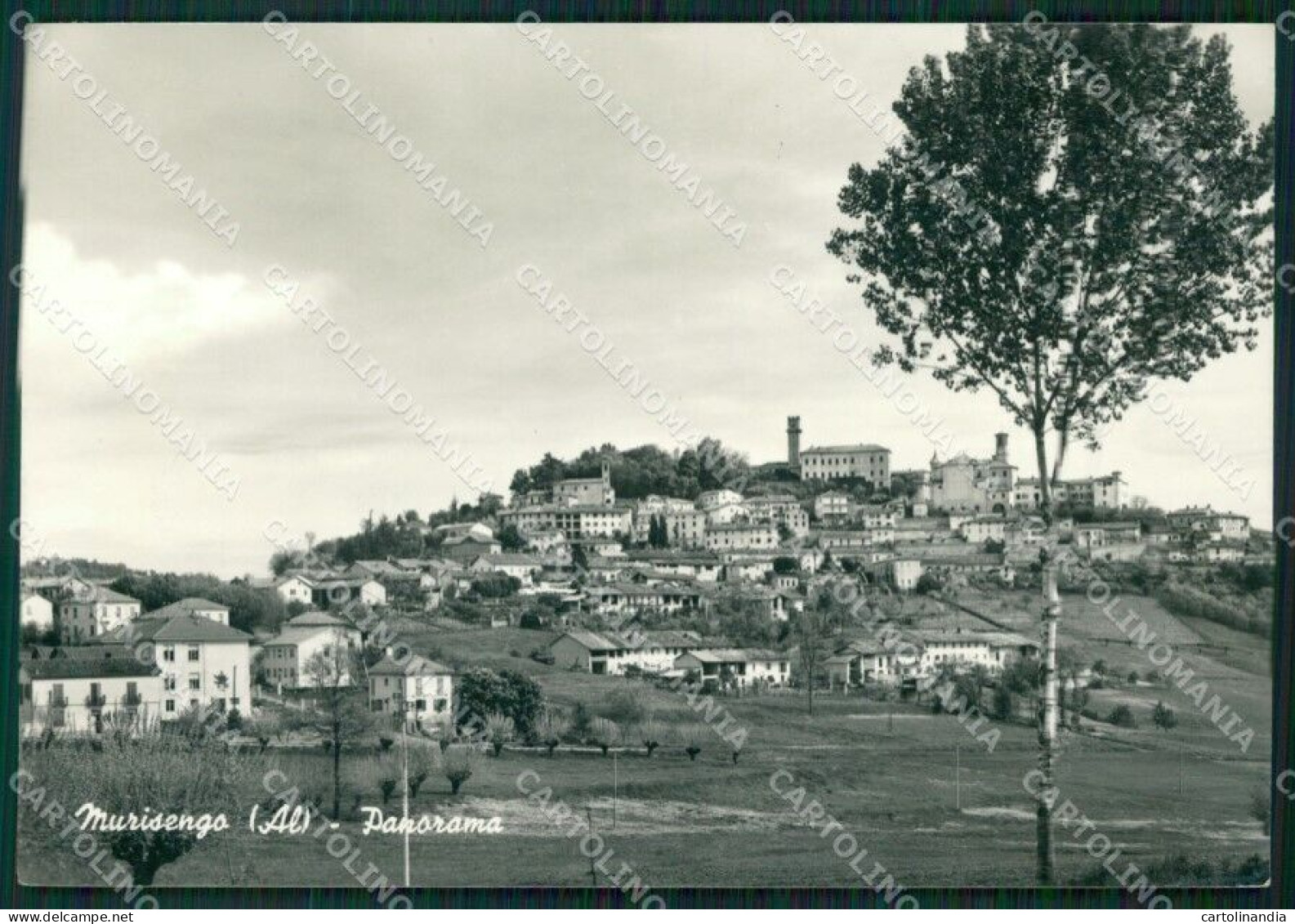 Alessandria Murisengo Foto FG Cartolina ZK4157 - Alessandria