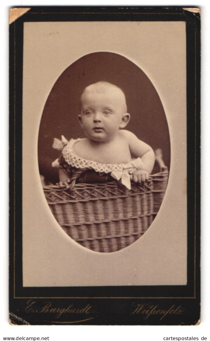 Fotografie E. Burghardt, Weissenfels, Saalstrasse 22, Niedliches Baby In Einem Korb Sitzend  - Anonyme Personen