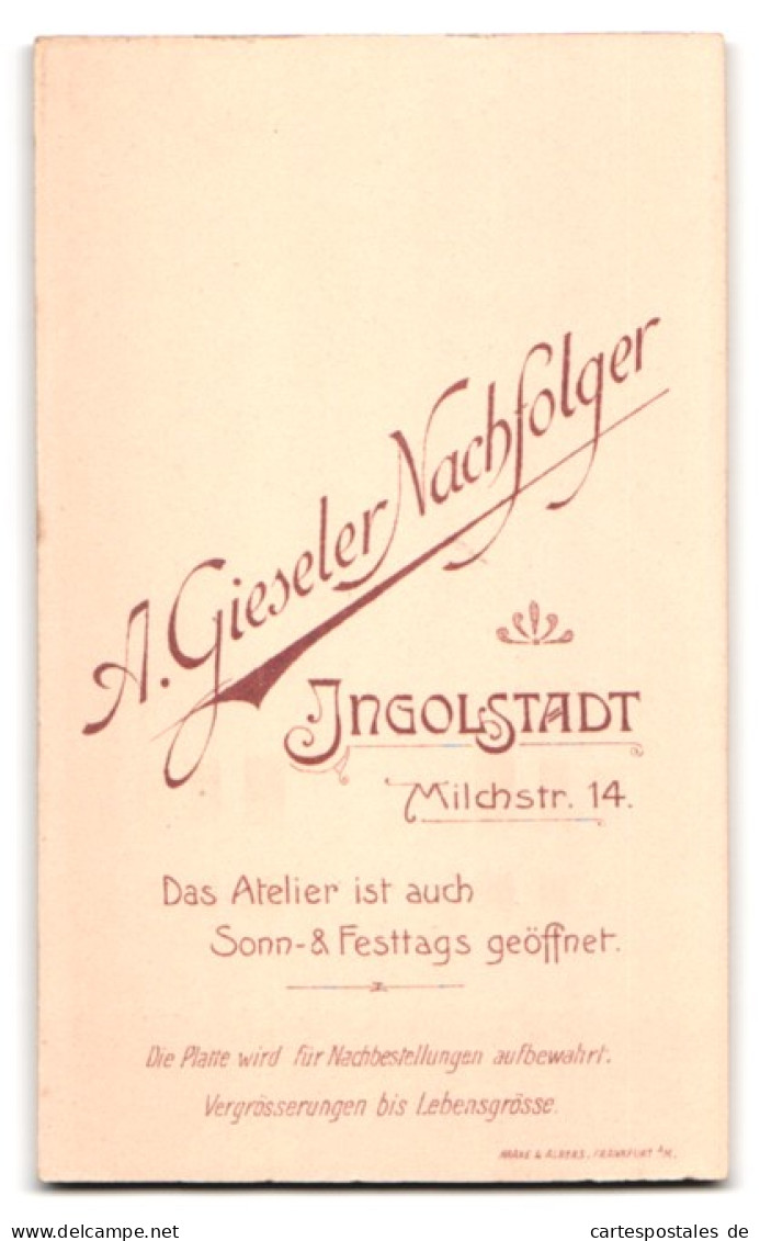 Fotografie A. Gieseler Nachfolger, Ingolstadt, Milchstrasse 14, Portrait Junger Herr Im Anzug Mit Krawatte  - Anonyme Personen