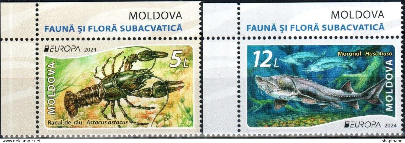 Moldova 2024 "Europa" Underwater Flora And Fauna. 2v Quality:100% - Moldavia