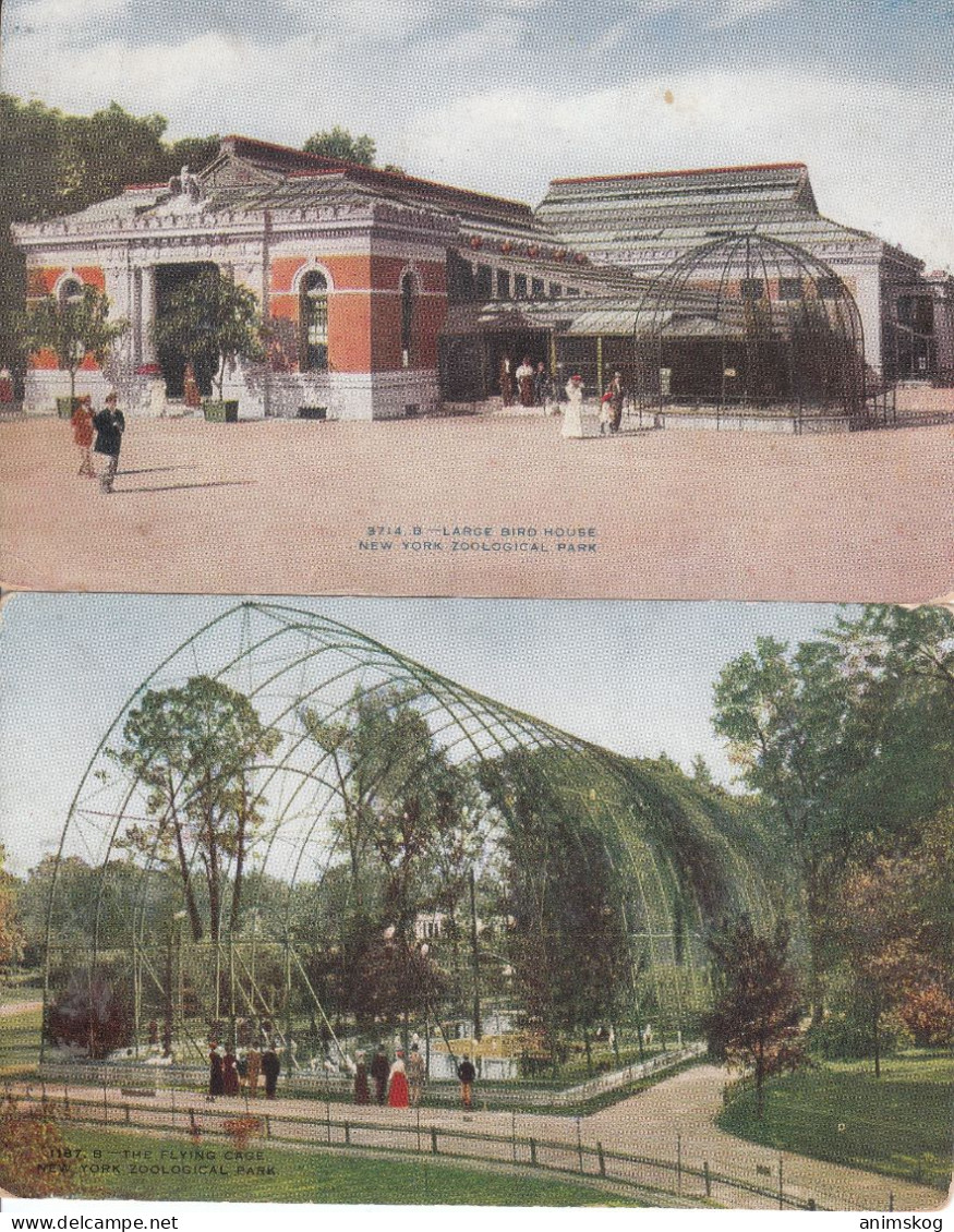 USA, New York, 2 Alte Postkarten, Zoo, Neu / USA, New York, 2 Ancient Postcards, Zoological Park, New - Andere & Zonder Classificatie