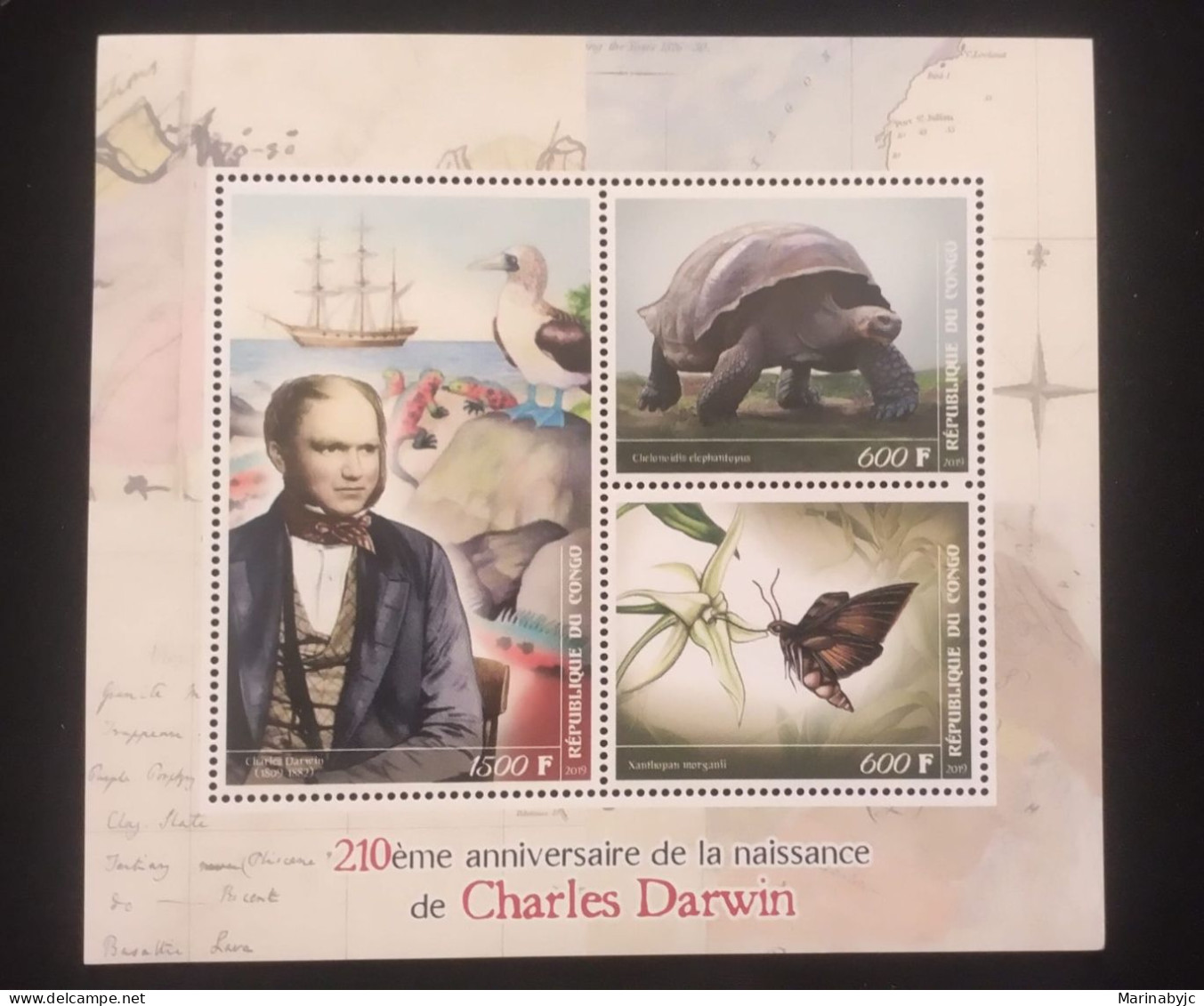 D)2019, REPUBLIC OF THE CONGO, 210TH ANNIVERSARY OF THE BIRTH OF CHARLES DARWIN, SOUVENIR SHEET, MNH - Altri & Non Classificati