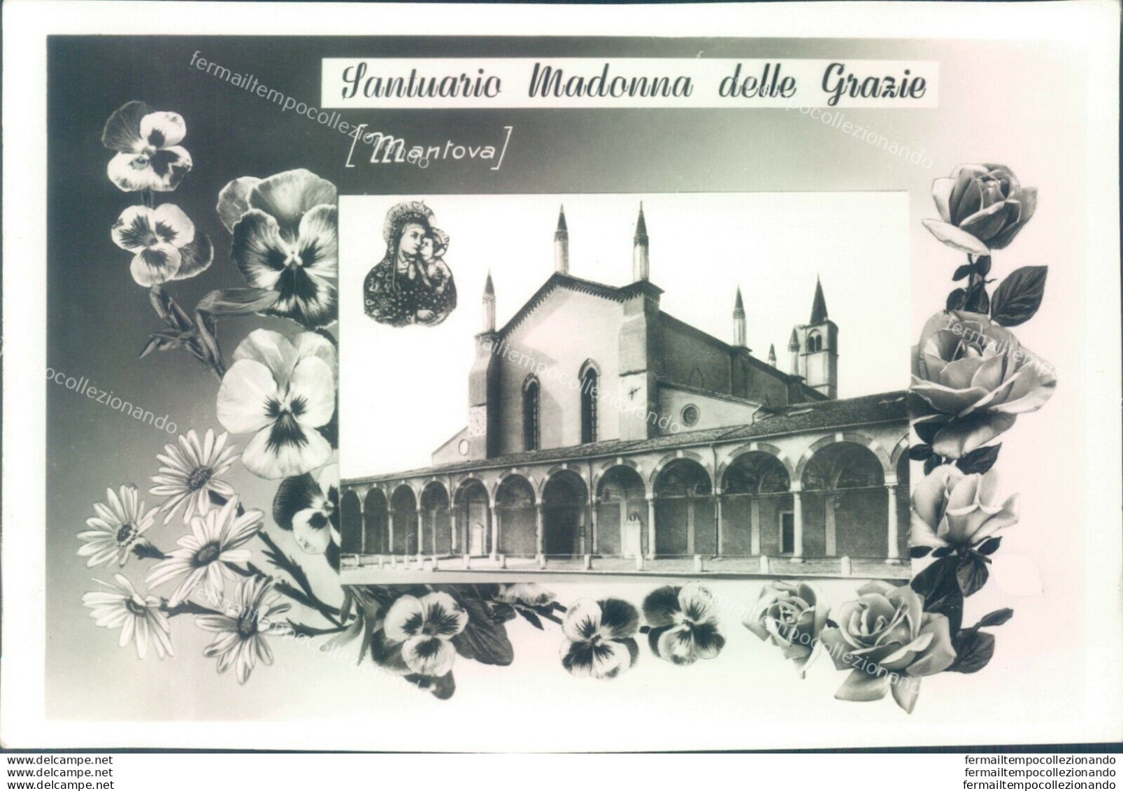 P101 Cartolina Mantova Citta'  Santuario Madonna Delle Grazie - Mantova