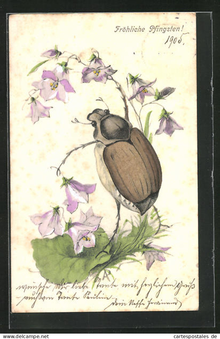 Künstler-AK Maikäfer Inmitten Von Violetten Blüten  - Insects