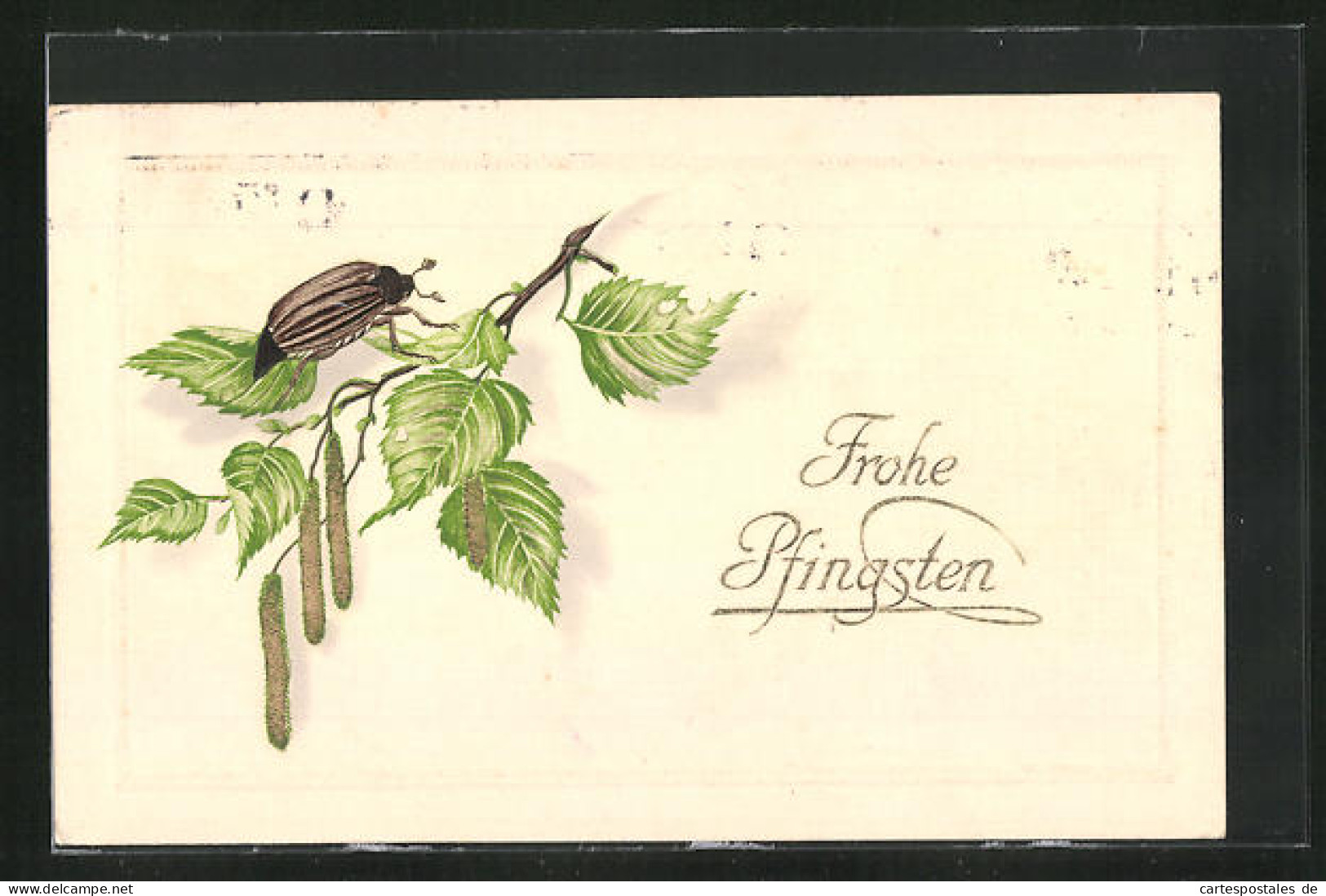 Präge-AK Pfingstgruss, Birkenzweig, Maikäfer  - Insekten