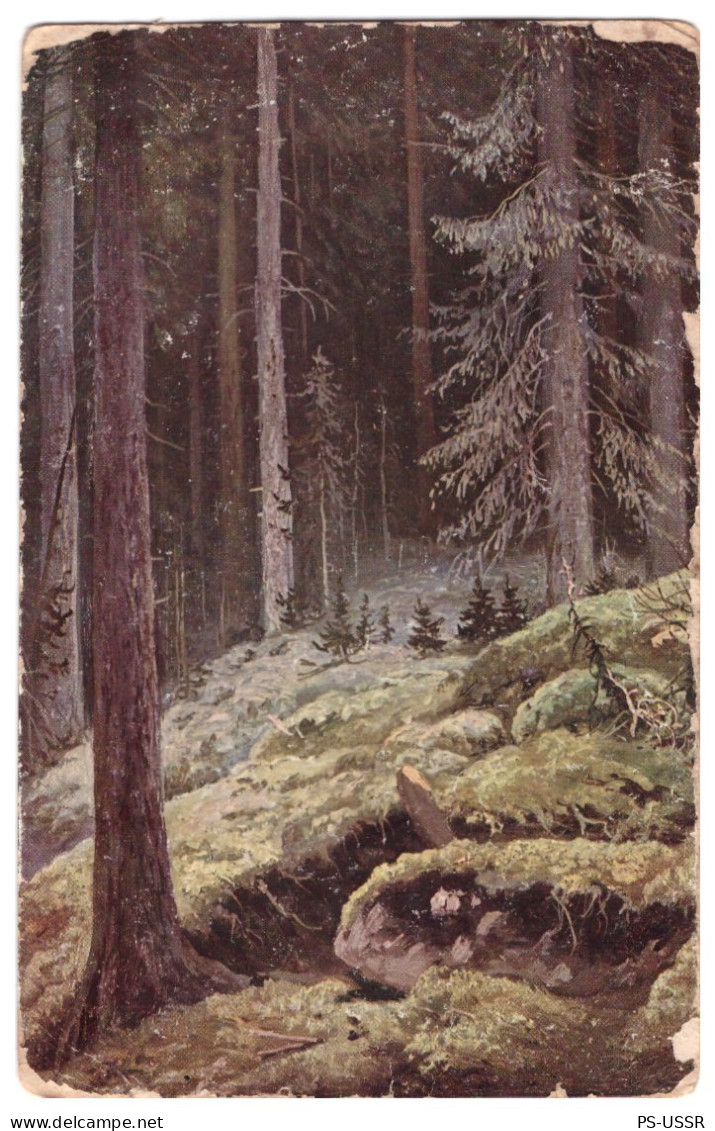 RUSSIA Before 1940 IVAN SHISHKIN IN THE FOREST WILD POSTCARD UNUSED - Paintings