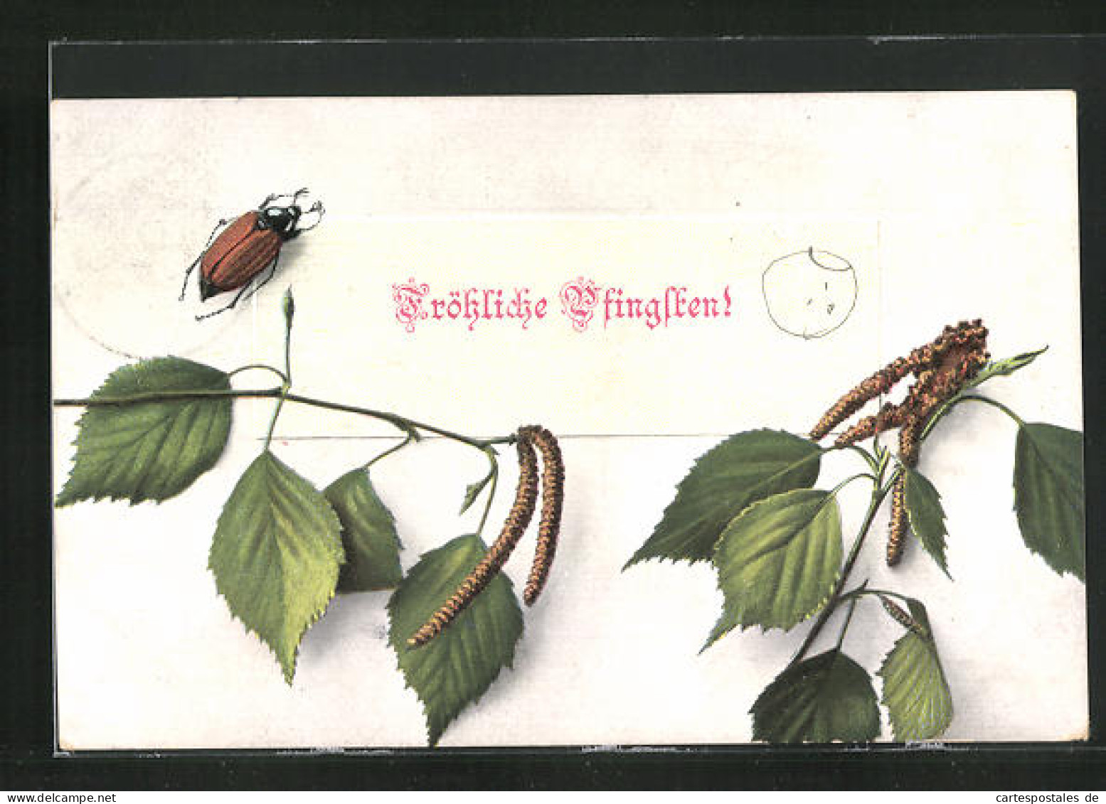 Künstler-AK Pfingstgruss, Maikäfer, Birkenlaub  - Insects